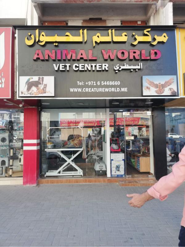 outdoor signage for shop